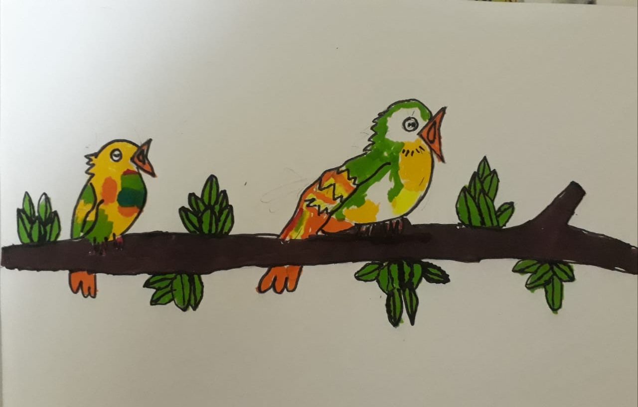 Story of Birds
